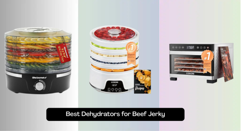 7 Best Dehydrators for Beef Jerky 2026