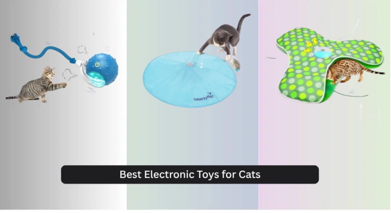 8 Best Electronic Toys for Cats 2026