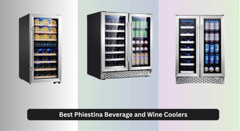 4 Best Phiestina Beverage and Wine Coolers of 2026