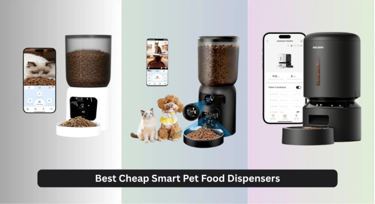 9 Best Cheap Smart Pet Food Dispensers 2026