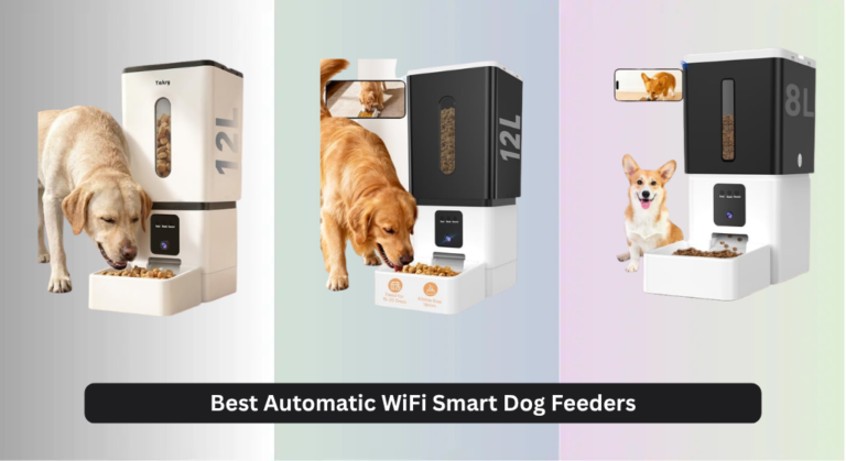 9 Best Automatic WiFi Smart Dog Feeders of 2026