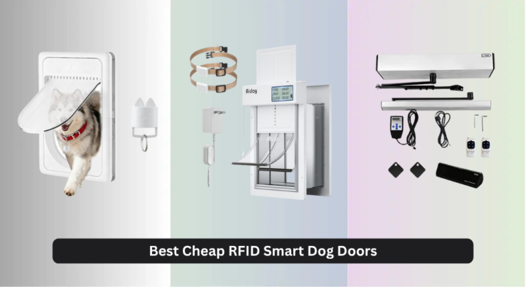 7 Best Cheap RFID Smart Dog Doors 2026