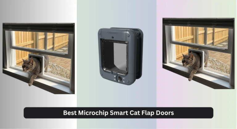 7 Best Microchip Smart Cat Flap Doors of 2026