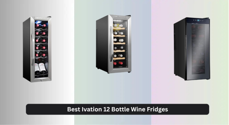 4 Best Ivation 12 Bottle Wine Fridges of 2026