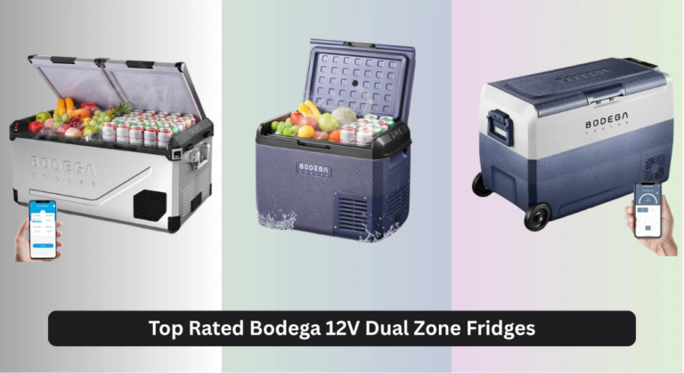 3 Top Rated Bodega 12V Dual Zone Fridges 2026