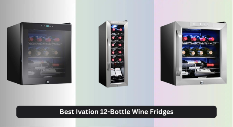 4 Best Ivation 12-Bottle Wine Fridges 2026