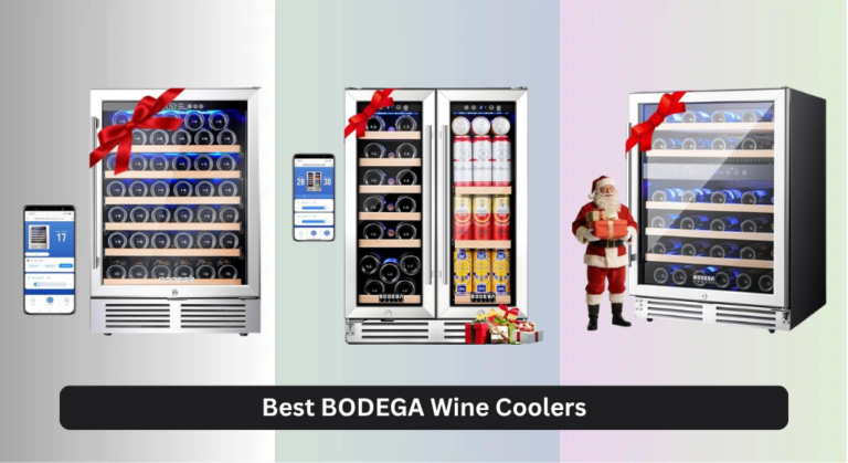 9 Best BODEGA Wine Coolers of 2026