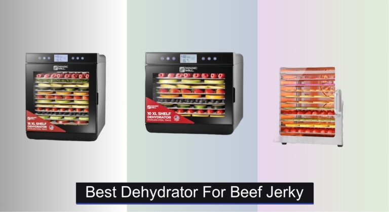 8 Best Dehydrators for Beef Jerky 2026